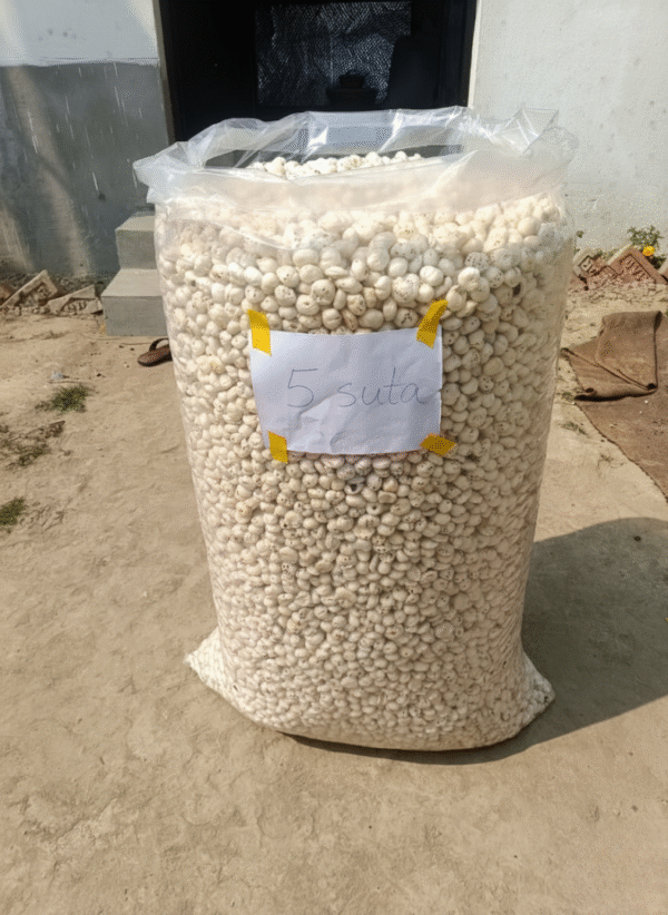5 suta Makhana (foxnut) mera kisan