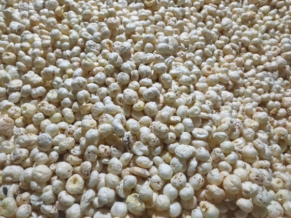 4 Suta Makhana Mera Kisan