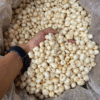 5 suta makhana(foxnut) merakisan