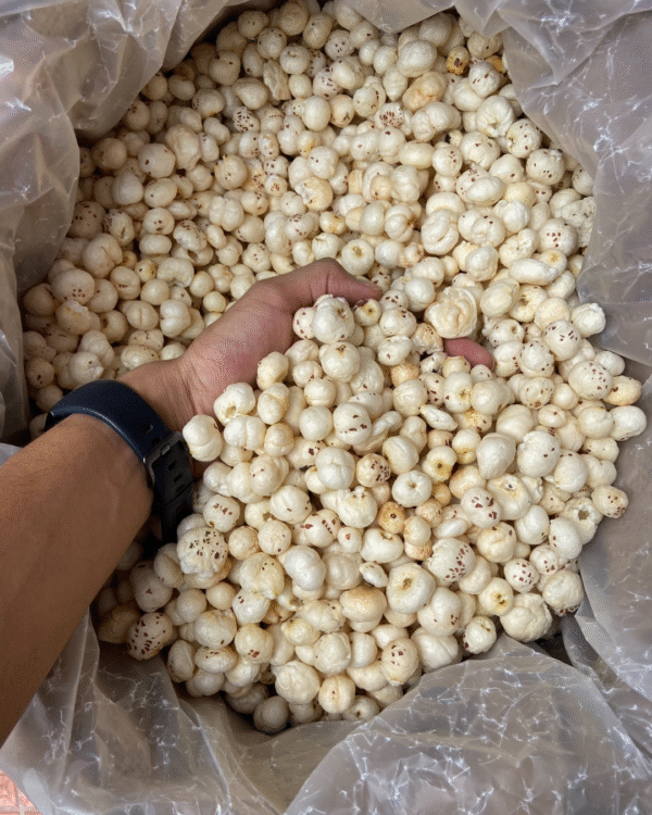 5 suta makhana(foxnut) merakisan