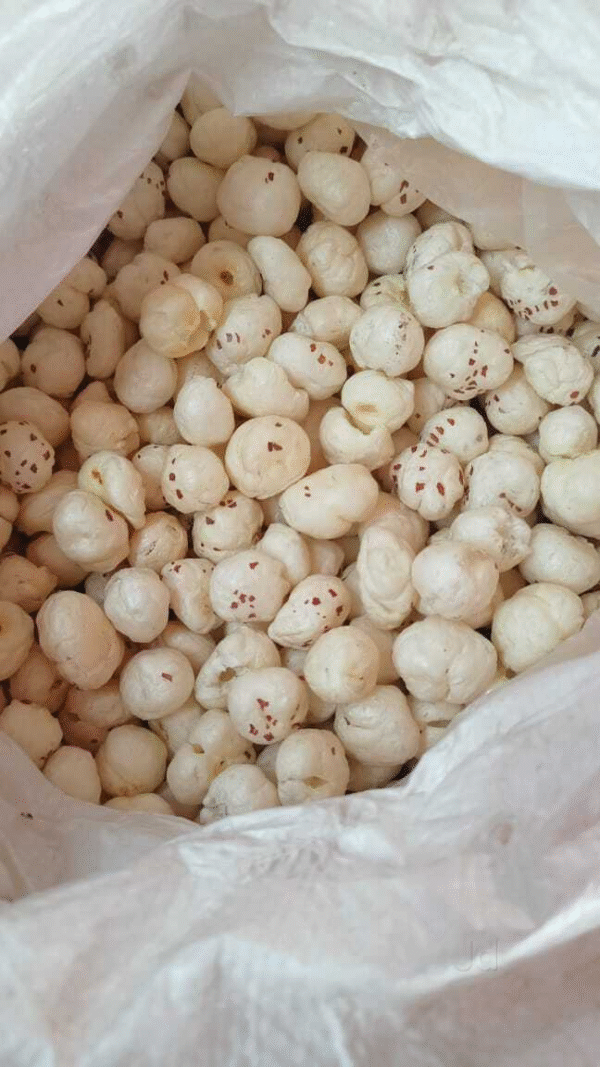 4 Suta Makhana Mera Kisan