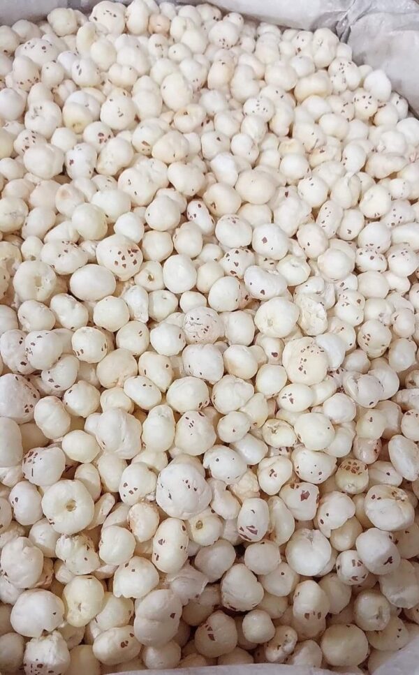 4 Suta Makhana Mera Kisan