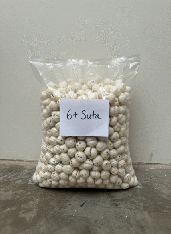 6+ suta makhana(Foxnut) MeraKisan