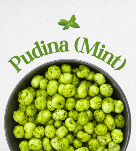 Mint Pudina Roasted Makhana – GI Mithila Foxnuts