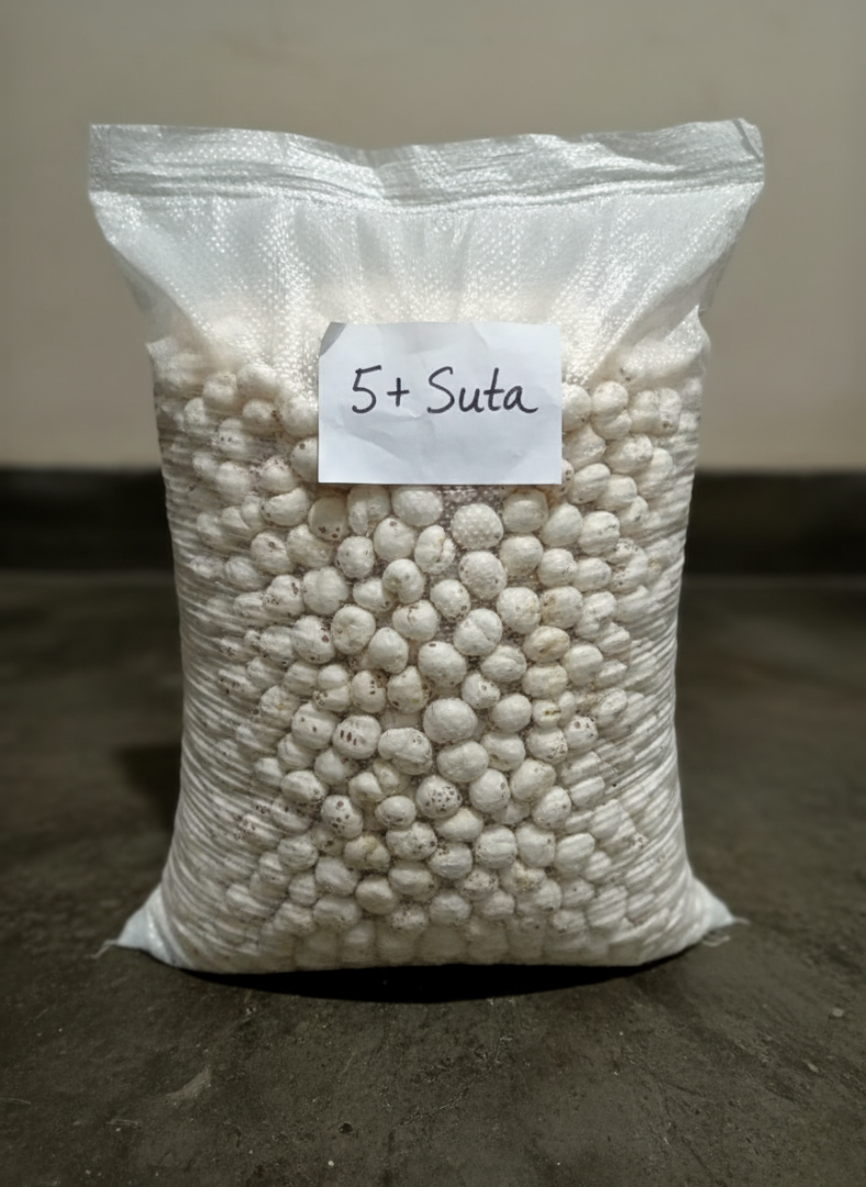 5+ suta makhana(Foxnut) MeraKisan