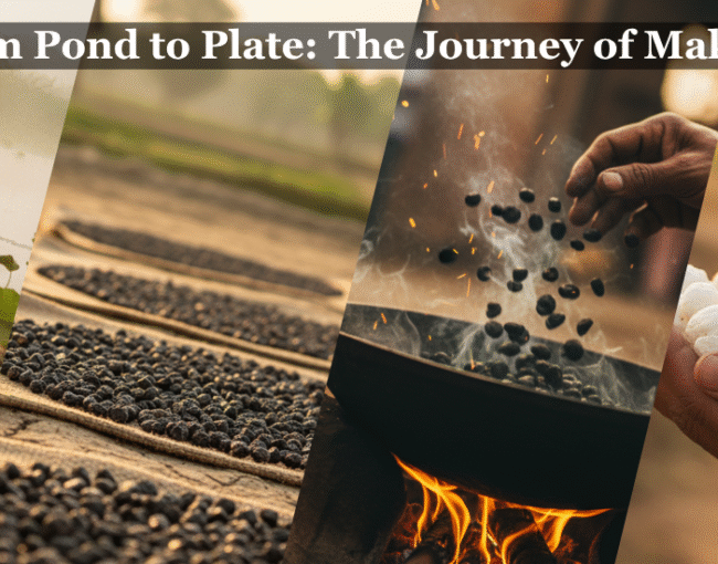 The Makhana Pond-to-Plate Journey by mera kisan