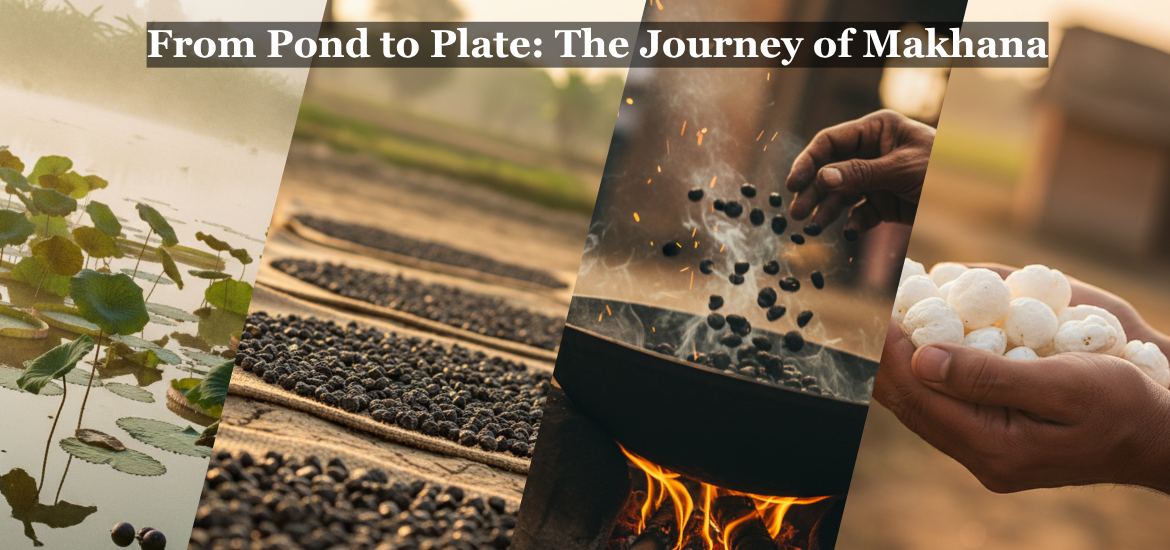 The Makhana Pond-to-Plate Journey by mera kisan