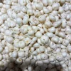 4+ suta makhana(foxnut)