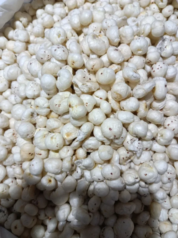 4+ suta makhana(foxnut)