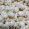 6 Suta Makhana Mera Kisan