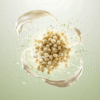cream & onion flavour merakisan