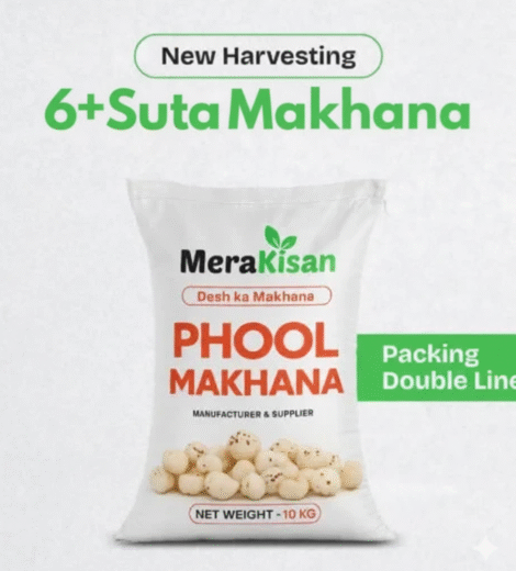 6+ suta Makhana(Foxnut)
