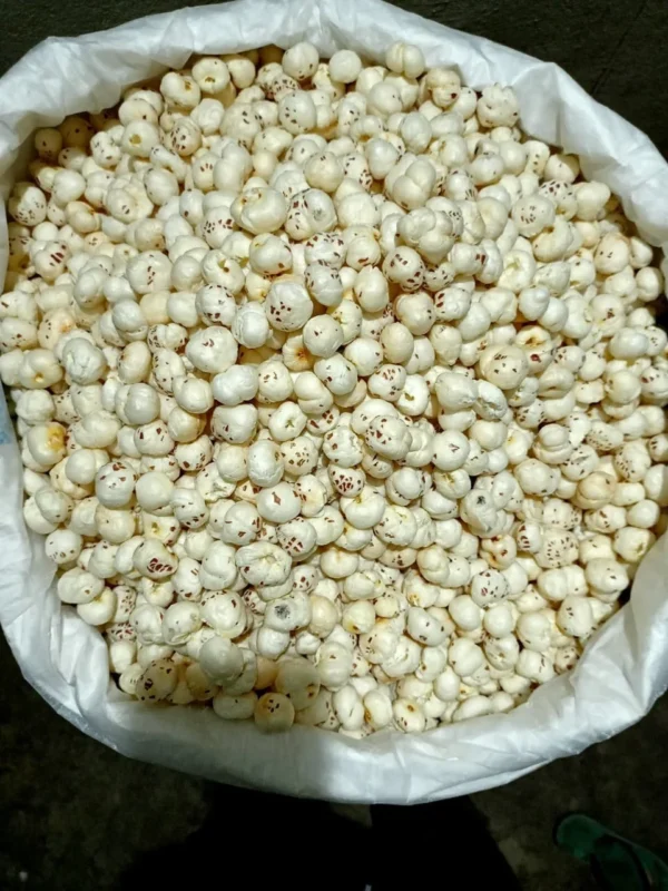 4+ suta makhana(foxnut)