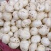 6 Suta Makhana Mera Kisan