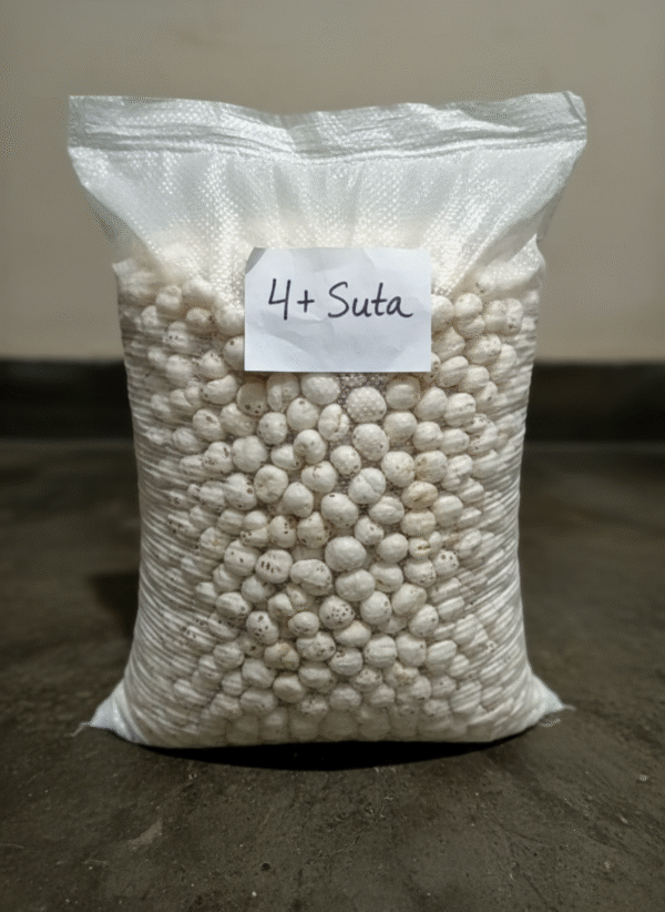 4+ suta makhana(foxnut) in sake, mera kisan