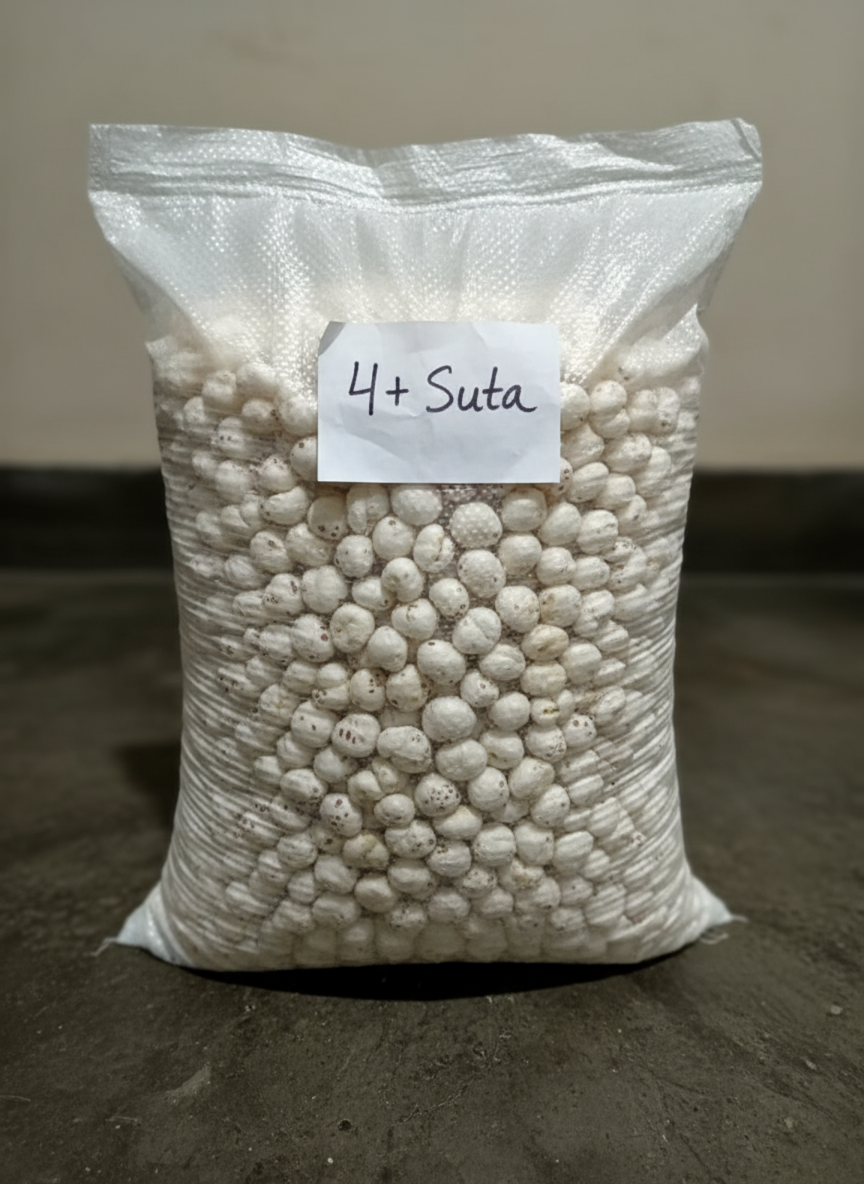 4+ suta makhana(foxnut) in sake, mera kisan